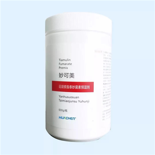 深入人心|养猪成功者与失败者的区别