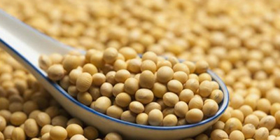 饲料新规强制减少豆粕含量，大豆进口或减1000万吨