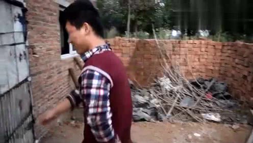 农村小伙养猪月收入过万, 他是怎么做到的？