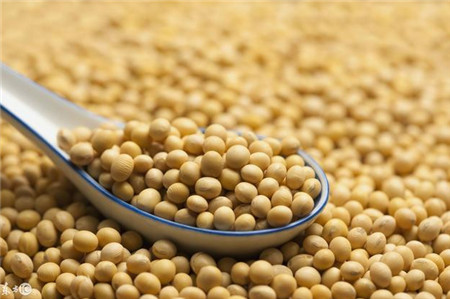 贸易战和非洲猪瘟的博弈，2018年的豆粕在何方？