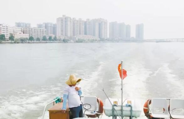 实现“无猪市”？广东江门逐步推进养猪业退出