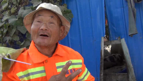 暖心：6旬老人养猪多年从不卖：多数送人！