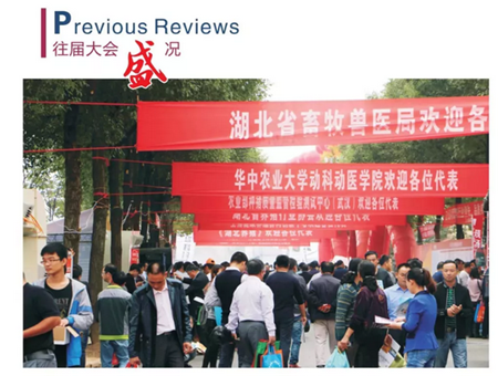 寻猪启示！寻找中国最好种公猪