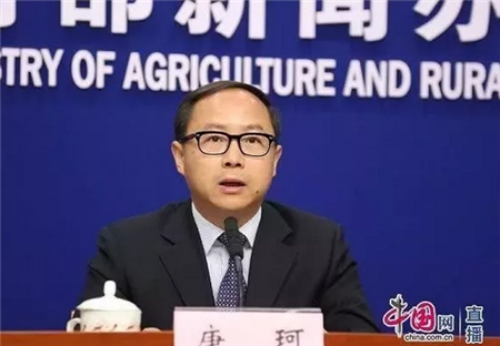 生猪产能受猪瘟影响有限　春节前猪价会再次出现上涨