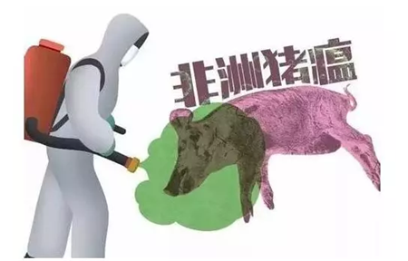 再临行业寒冬！逼死养猪户的不仅有猪瘟还有进口猪肉！