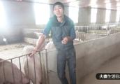 现在回农村养猪还赚钱吗？农村小伙说出了实情，看了你就懂了！