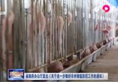 非洲猪瘟多个省份点状散发 山东省政府发布做好防控工作通知