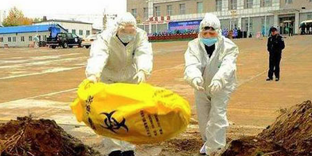 非瘟后，云南将扑杀6918头生猪，启动Ⅱ级响应