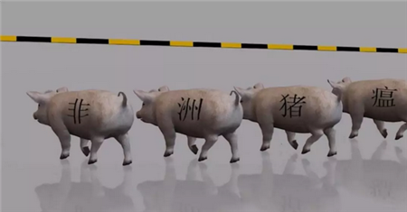 行业大洗牌:养猪行业正在遭遇“灰犀牛”式危机