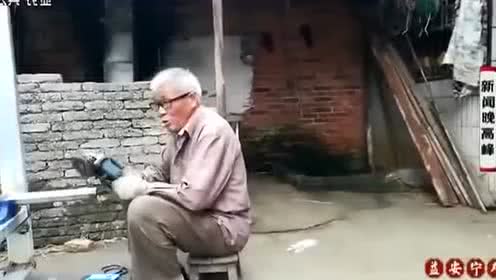 南昌县：“屠宰厂”成了贩猪场