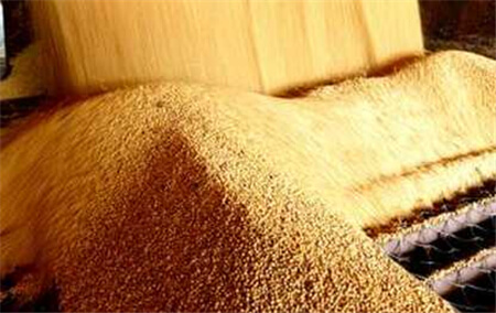 想不到用欧式配方养猪还能这样降低成本？