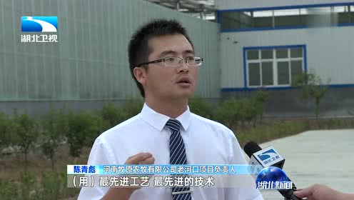 长江大保护十大标志性战役 让养猪场变成会“挣钱”的花园