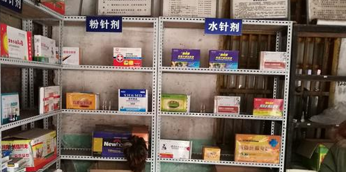 庆大霉素在猪病中的合理应用，这样用效果才好