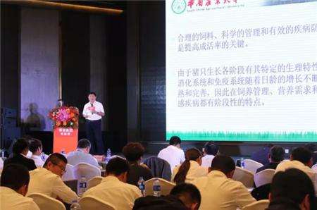 这四句话后，52500头小猪将用上TTT教槽料