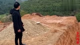现在猪瘟那么严重，农村大叔投资100万养猪，你们说会赚钱吗？