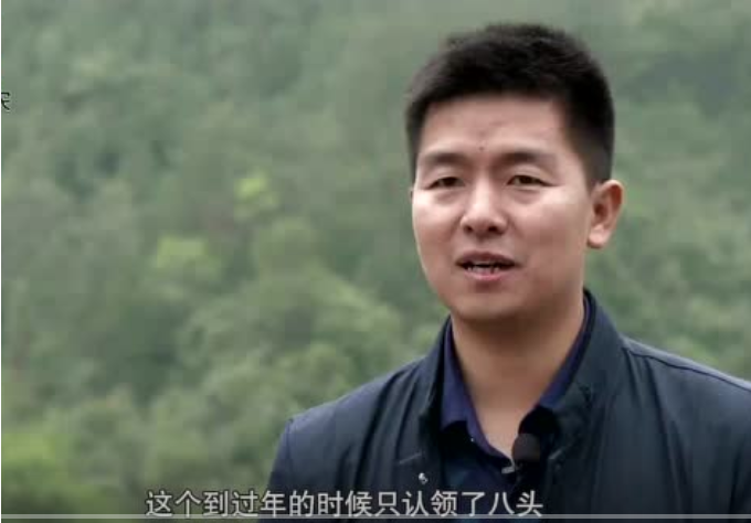 农村大哥30致富：励志放弃百万，为父亲养猪！