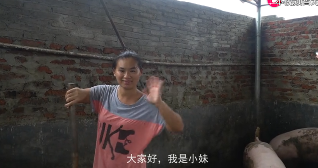 十六块左右一斤生猪，一百头全部卖完，大约收入三十万左右