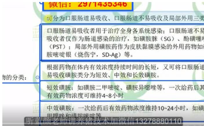 磺胺类药物在猪场的妙用，治疗这些猪病效果好！