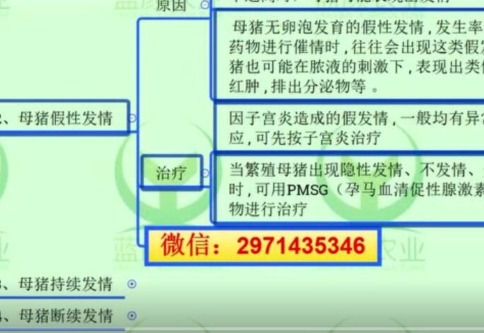 母猪不发情及发情异常该如何解决？有什么方法？