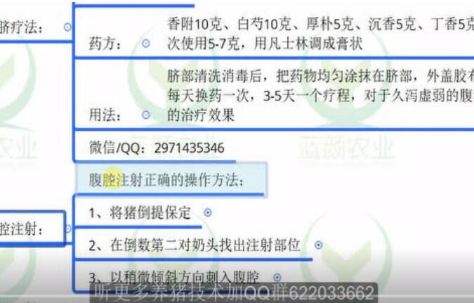 仔猪补液这样打针才有效果！猪腹腔注射的方法！