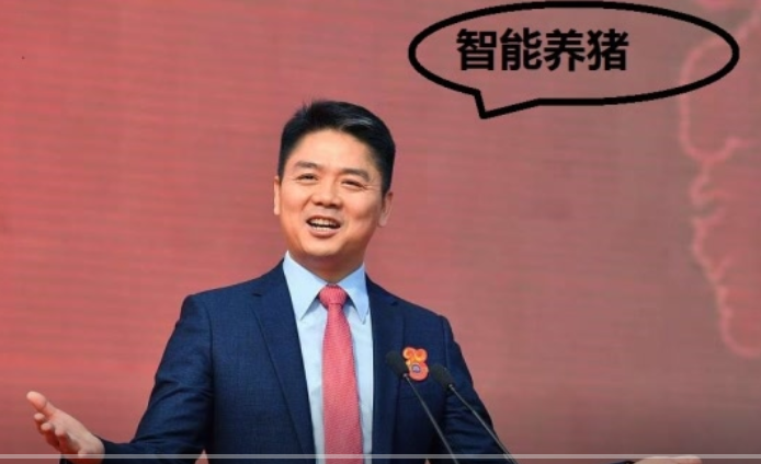 刘强东创造智能养猪，让养殖户大开眼界，网友：猪的生活已达小康