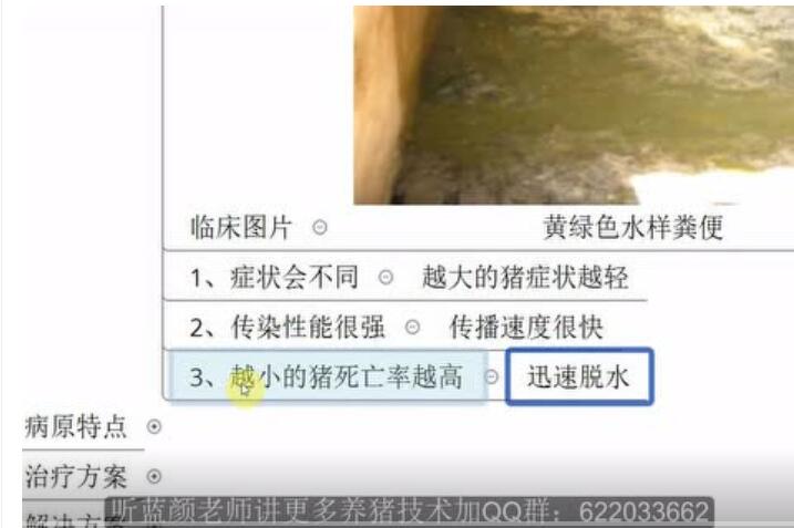 猪传染性肠胃炎病状诊断和治疗预防技术，不难一学就会！