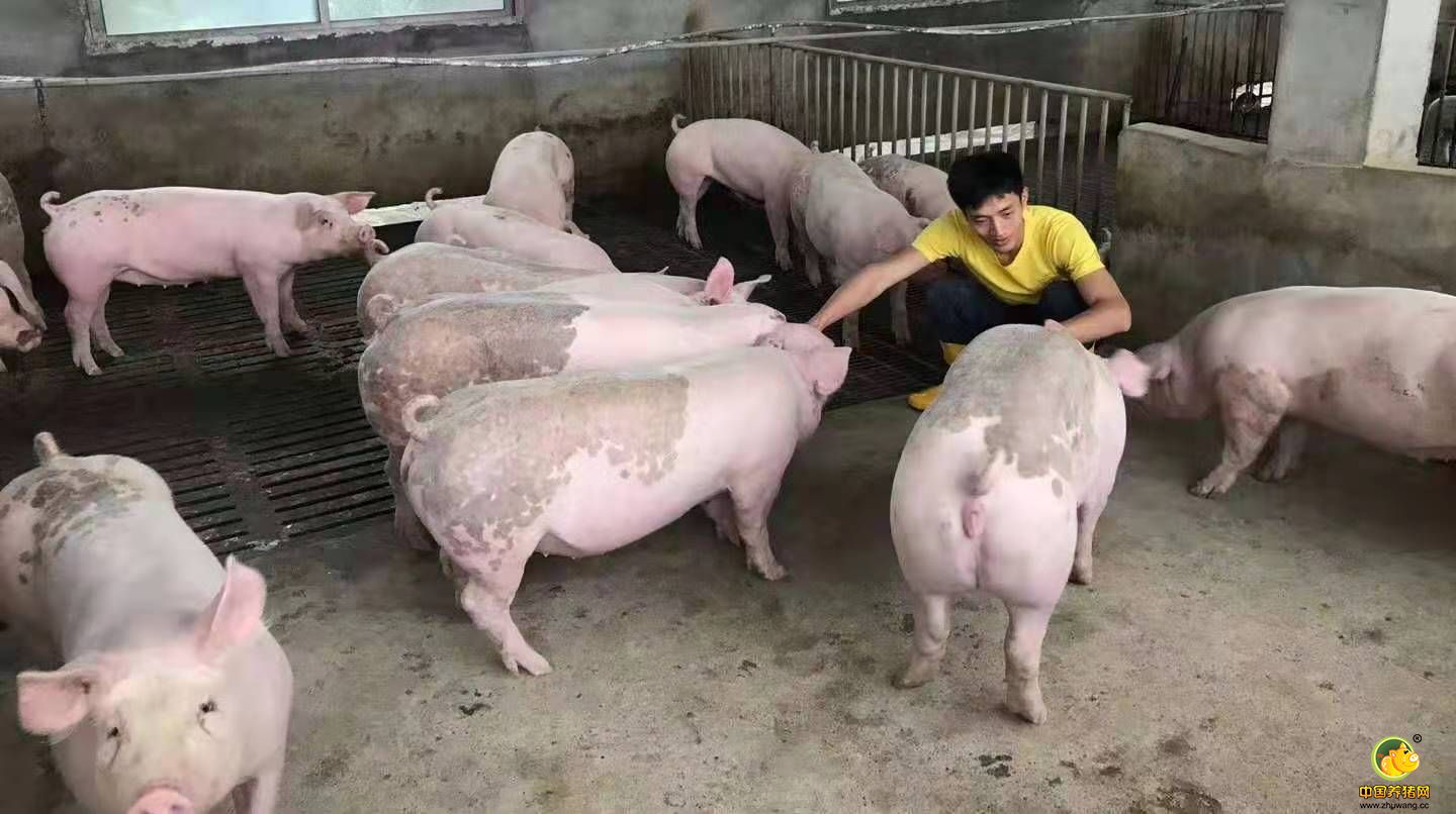 微信图片_20191015162053