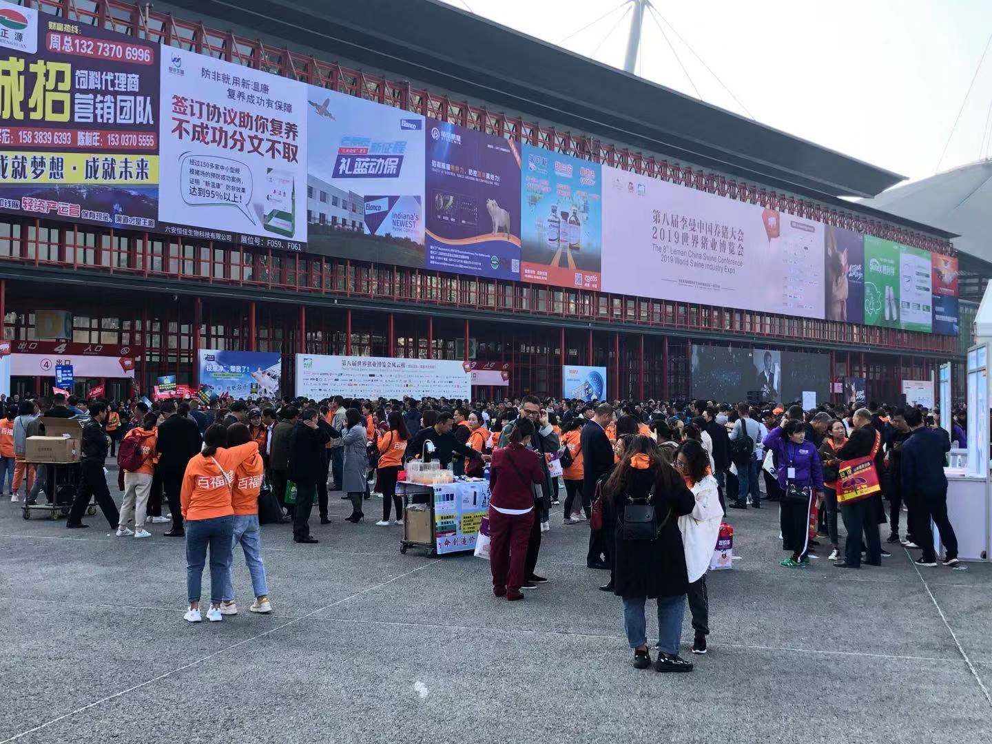 中国养猪网为你揭示，李曼养猪大会有多热闹！