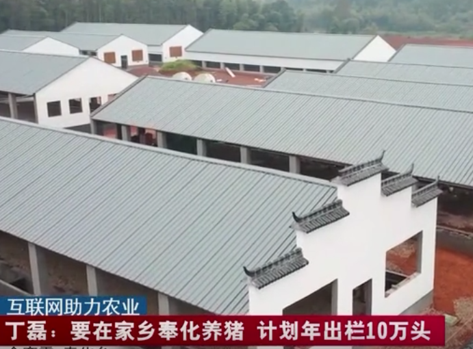  互联网助力农业 丁磊：要在家乡奉化养猪 计划年出栏10万头