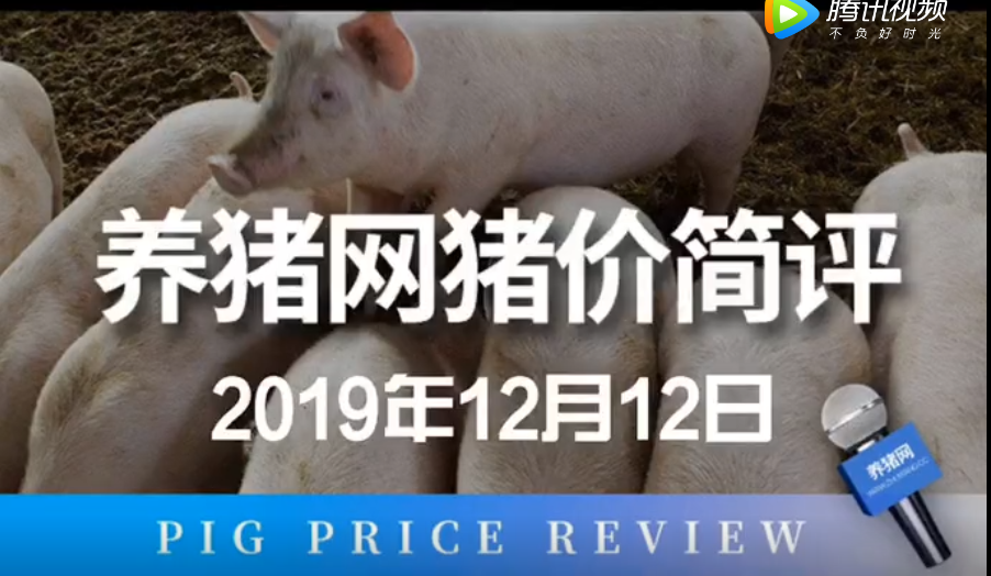 中国养猪网-简评12月12日，猪价似乎开始出现后劲不足的迹象