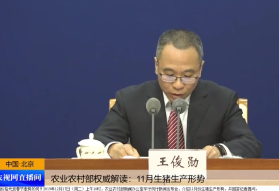  “炒猪团”恶劣影响猪肉价格，举报电话来了！