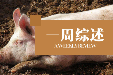 一周综述