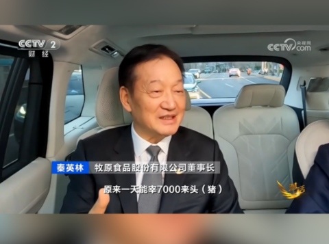 年味浓！牧原屠宰量翻倍！全力保新年猪肉供应！