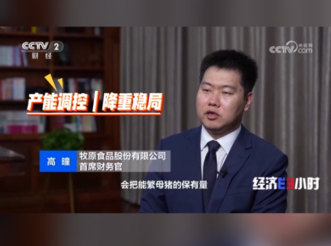 中小散户卖猪止损！规模猪企--产能调控、降重稳局！