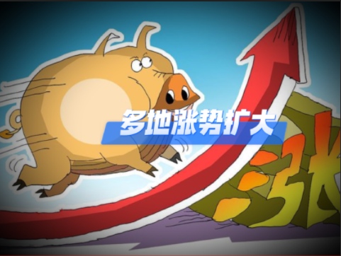 01月19日猪价：多地涨势扩大！创下新高！