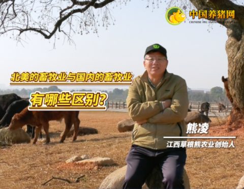 专访草根熊创始人熊凌——北美畜牧业 简单、务实、回归本质！