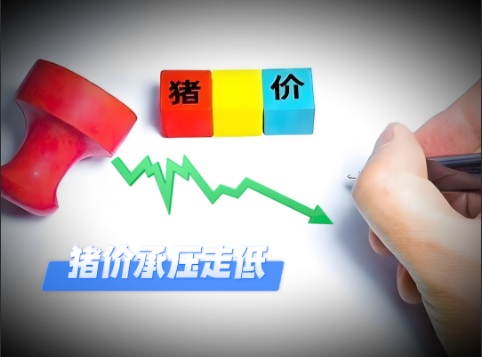 01月28日猪价：下跌“拉不住”！猪价承压走低！