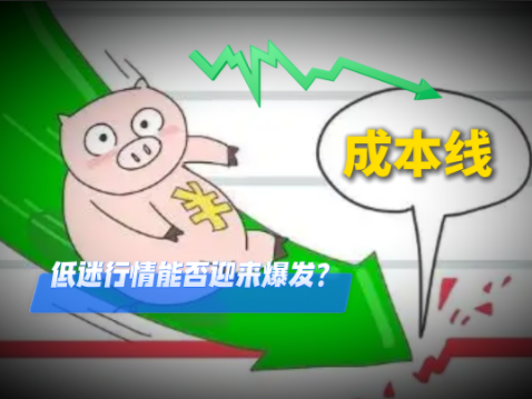 01月30日猪价：行情低迷 震荡走弱！