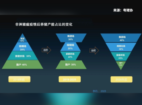 非瘟成产业分水岭！生猪行业集中度从6.5%飙升至25.49%