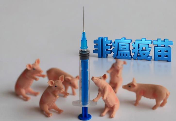 非洲猪瘟疫苗首轮攻毒试验成功！攻毒组1万头猪全部健活！