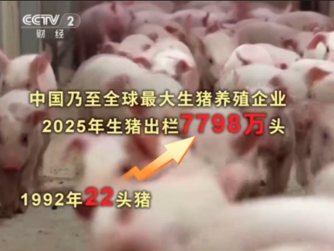 从22头小猪到全球巨头！秦英林只总结了8个字-坚持创新 做好主业！