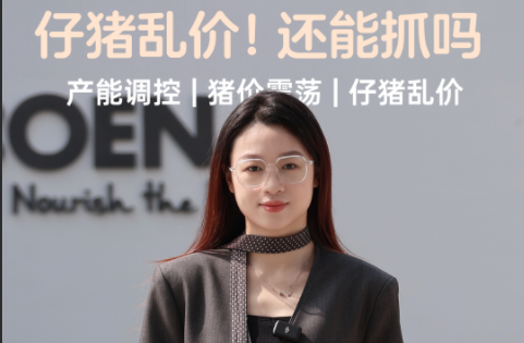 仔猪乱价！还能抓吗？抄底良机还是陷阱？