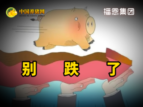 04月14日猪价：再度刷新低，养一头亏500元！