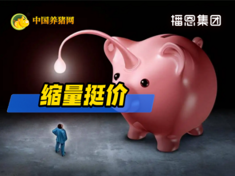 04月15日猪价：触底信号？历史低位震荡！