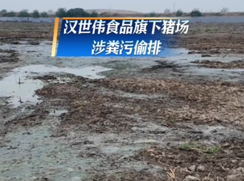 触目惊心！一猪场涉粪污偷排！当地村民：臭水糟践农田3年！