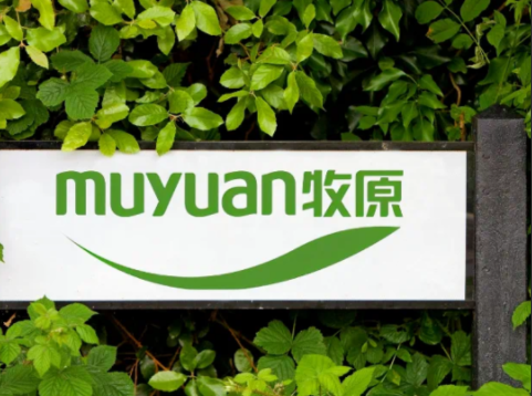 牧原屠宰肉食业务持续盈利！资产负债率已降至2021年中报以来的最低水平！
