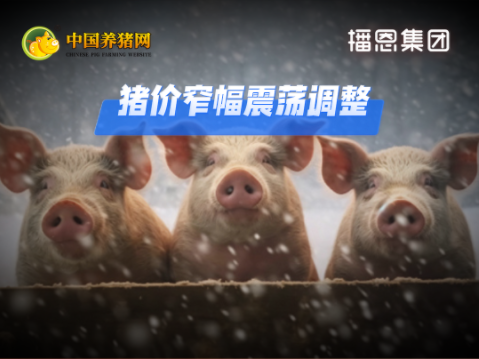 07月22日猪价：10.84元/公斤！涨跌两难！