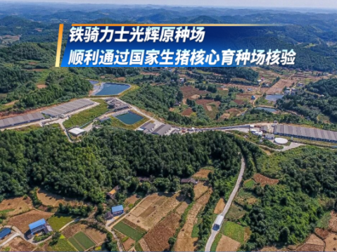 喜报！铁骑力士再获国家级荣誉！已连续四次通过国家级核验！