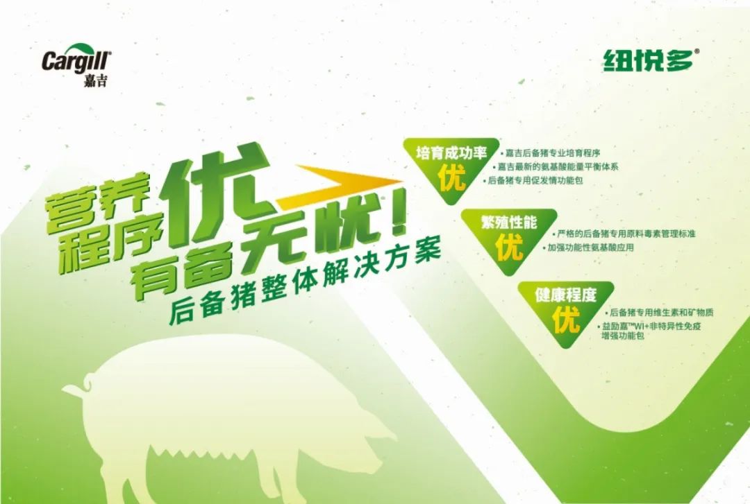新品上市|营养优，程序优，有备无忧！