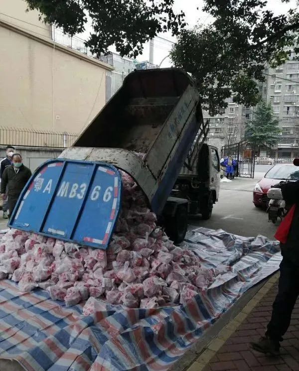 人不如猪？武汉垃圾车送猪肉，市纪委：党纪立案审查！